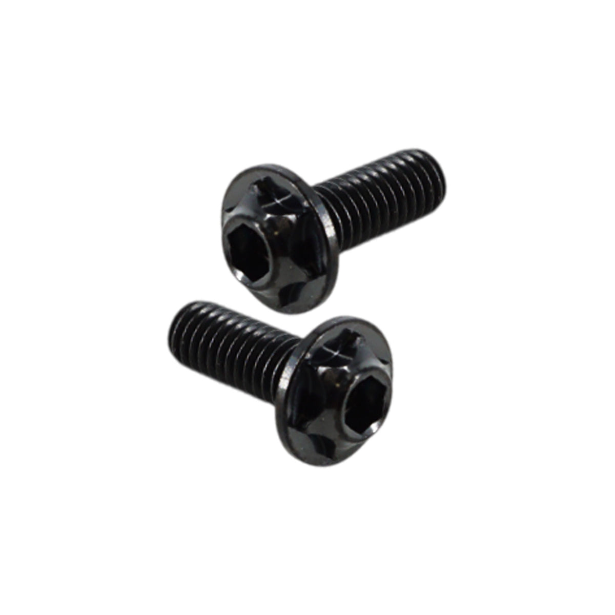M3 x 8 LP Titanium Motor Screws (2)